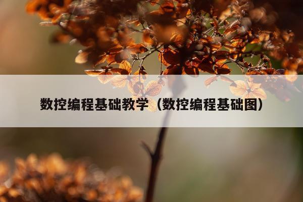 数控编程基础教学（数控编程基础图）