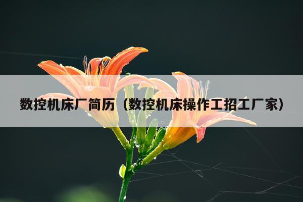 数控机床厂简历（数控机床操作工招工厂家）