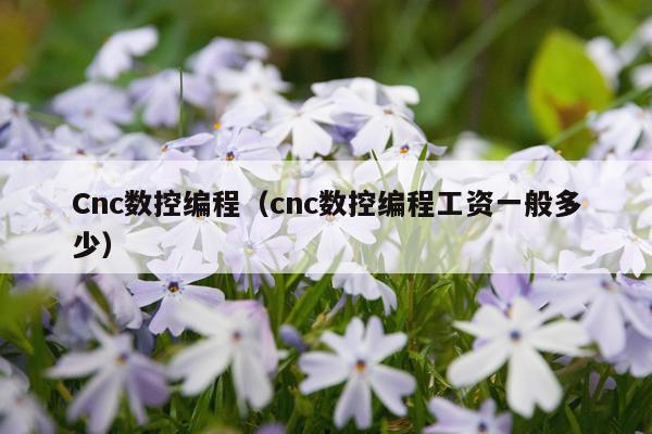 Cnc数控编程（cnc数控编程工资一般多少）