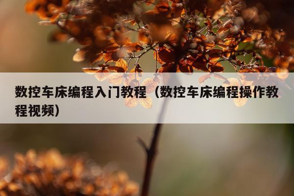 数控车床编程入门教程（数控车床编程操作教程视频）