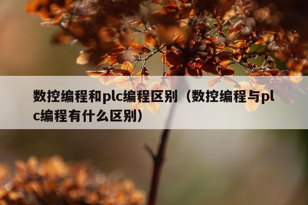 数控编程和plc编程区别（数控编程与plc编程有什么区别）