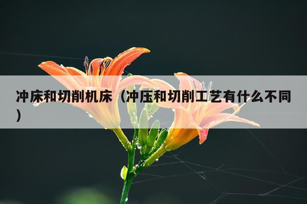 冲床和切削机床（冲压和切削工艺有什么不同）