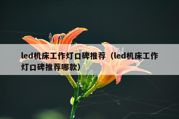 led机床工作灯口碑推荐（led机床工作灯口碑推荐哪款）