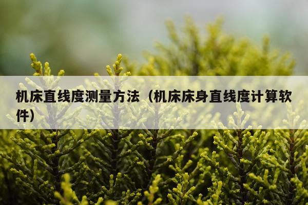 机床直线度测量方法（机床床身直线度计算软件）