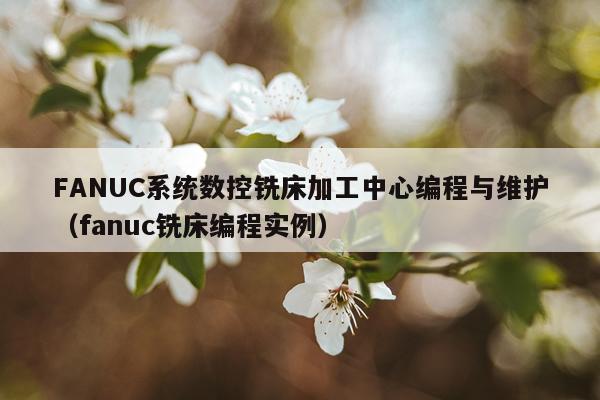 FANUC系统数控铣床加工中心编程与维护（fanuc铣床编程实例）