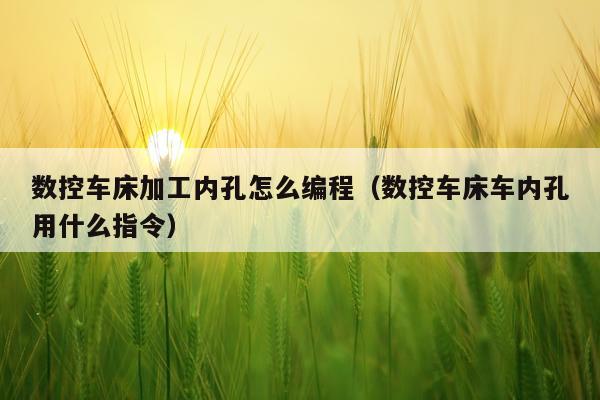 数控车床加工内孔怎么编程（数控车床车内孔用什么指令）