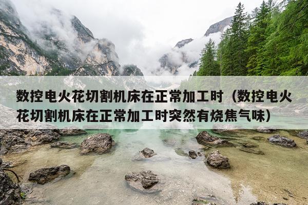数控电火花切割机床在正常加工时（数控电火花切割机床在正常加工时突然有烧焦气味）