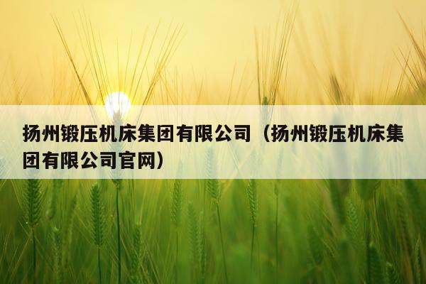 扬州锻压机床集团有限公司（扬州锻压机床集团有限公司官网）