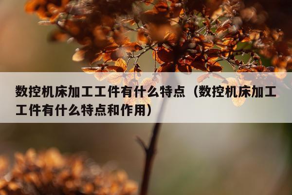 数控机床加工工件有什么特点（数控机床加工工件有什么特点和作用）