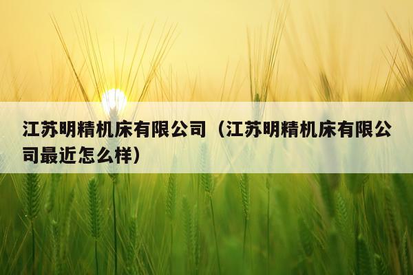 江苏明精机床有限公司(江苏明精机床有限公司最近怎么样)