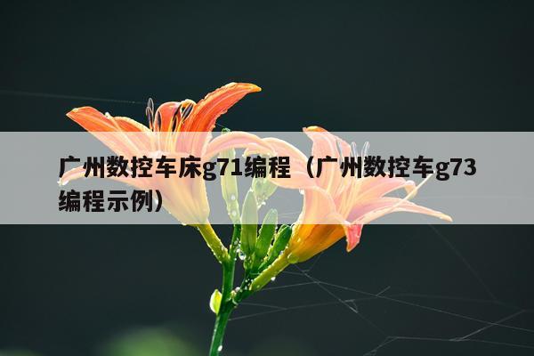 广州数控车床g71编程(广州数控车g73编程示例)