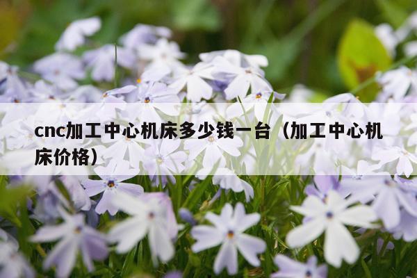 cnc加工中心机床多少钱一台（加工中心机床价格）