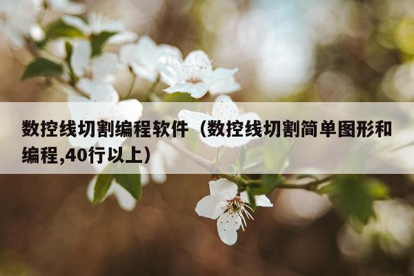 数控线切割编程软件（数控线切割简单图形和编程,40行以上）