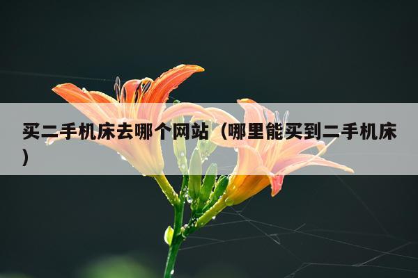 买二手机床去哪个网站（哪里能买到二手机床）