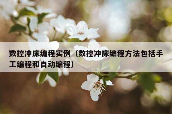 数控冲床编程实例（数控冲床编程方法包括手工编程和自动编程）