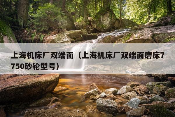 上海机床厂双端面（上海机床厂双端面磨床7750砂轮型号）