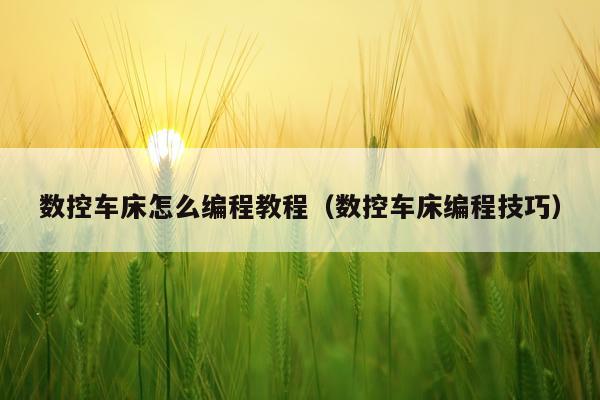 数控车床怎么编程教程（数控车床编程技巧）