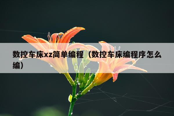 数控车床xz简单编程（数控车床编程序怎么编）