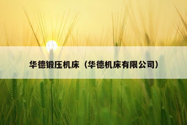 华德锻压机床（华德机床有限公司）