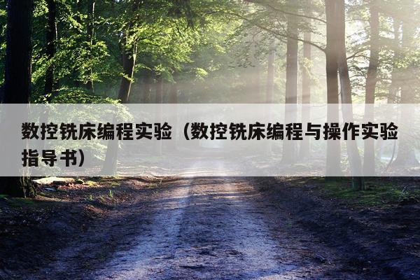 数控铣床编程实验（数控铣床编程与操作实验指导书）