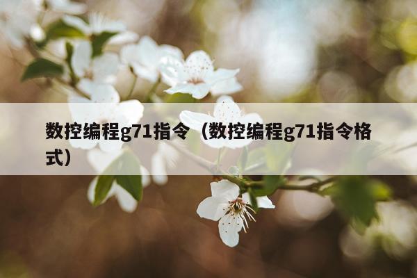 数控编程g71指令（数控编程g71指令格式）