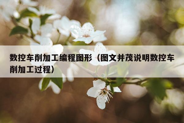 数控车削加工编程图形（图文并茂说明数控车削加工过程）