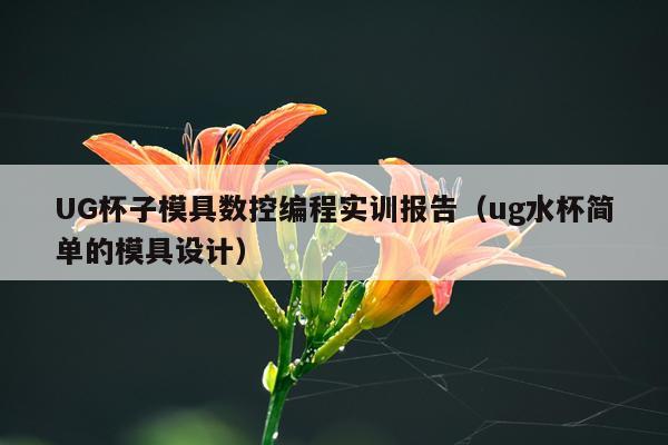 UG杯子模具数控编程实训报告（ug水杯简单的模具设计）