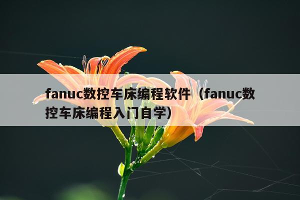 fanuc数控车床编程软件（fanuc数控车床编程入门自学）