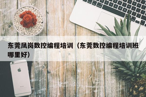东莞凤岗数控编程培训(东莞数控编程培训班哪里好)
