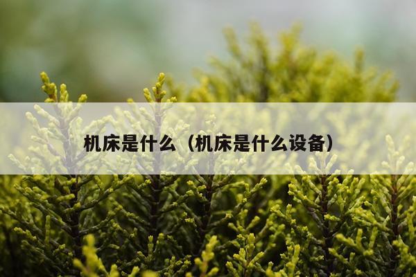机床是什么（机床是什么设备）