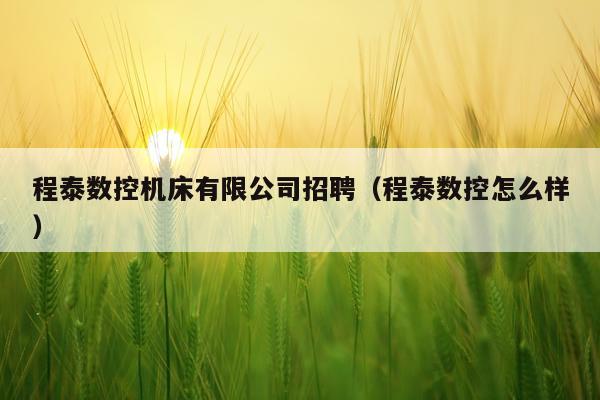 程泰数控机床有限公司招聘（程泰数控怎么样）