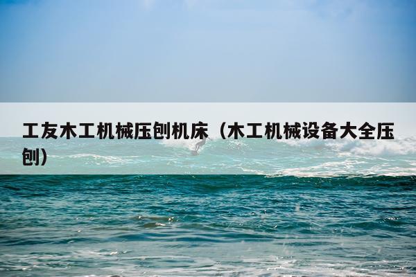 工友木工机械压刨机床（木工机械设备大全压刨）