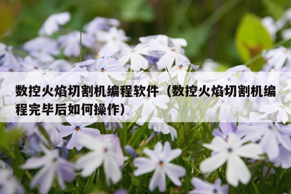 数控火焰切割机编程软件(数控火焰切割机编程完毕后如何操作)