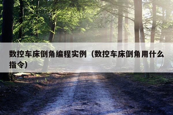 数控车床倒角编程实例（数控车床倒角用什么指令）
