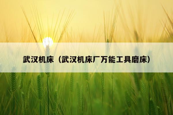 武汉机床（武汉机床厂万能工具磨床）