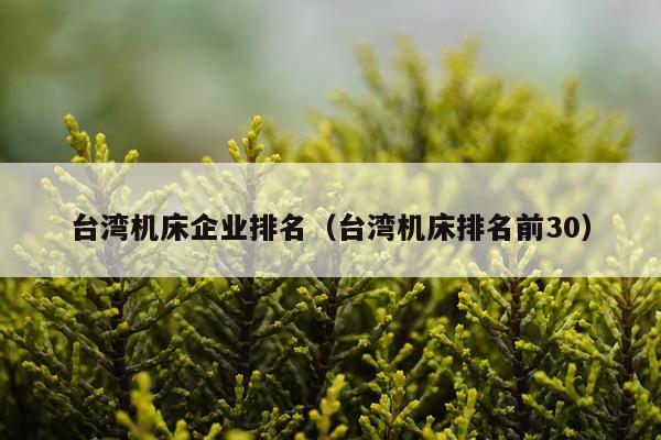 台湾机床企业排名（台湾机床排名前30）