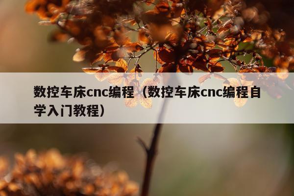 数控车床cnc编程（数控车床cnc编程自学入门教程）