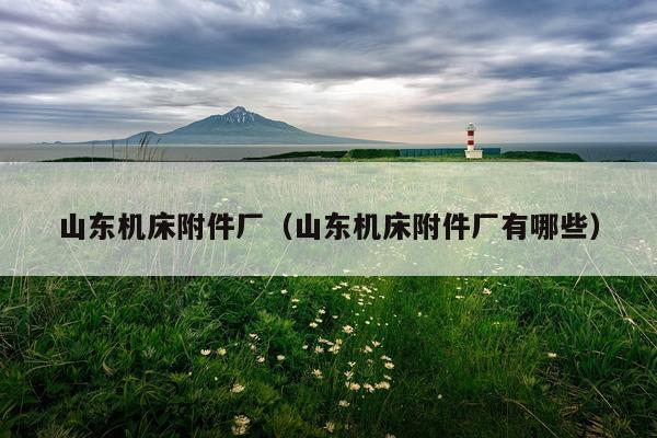 山东机床附件厂（山东机床附件厂有哪些）