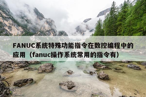 FANUC系统特殊功能指令在数控编程中的应用（fanuc操作系统常用的指令有）