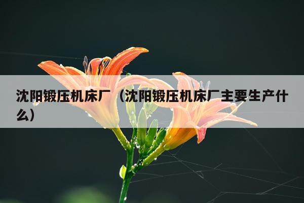 沈阳锻压机床厂（沈阳锻压机床厂主要生产什么）