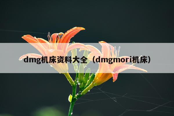dmg机床资料大全（dmgmori机床）