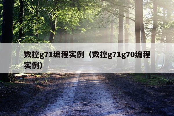 数控g71编程实例（数控g71g70编程实例）