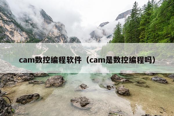 cam数控编程软件（cam是数控编程吗）