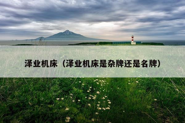 泽业机床(泽业机床是杂牌还是名牌)