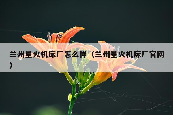 兰州星火机床厂怎么样（兰州星火机床厂官网）