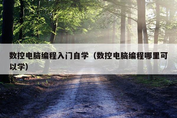 数控电脑编程入门自学（数控电脑编程哪里可以学）