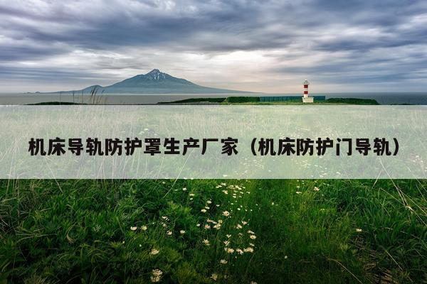 机床导轨防护罩生产厂家（机床防护门导轨）