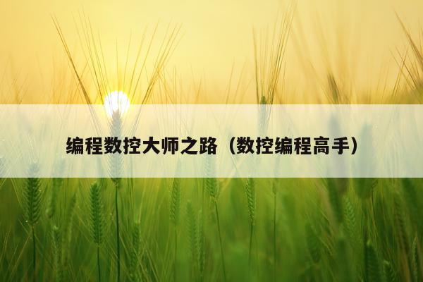 编程数控大师之路（数控编程高手）