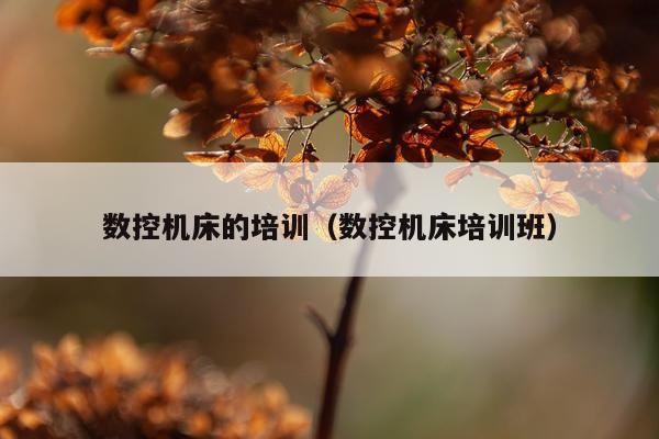 数控机床的培训（数控机床培训班）