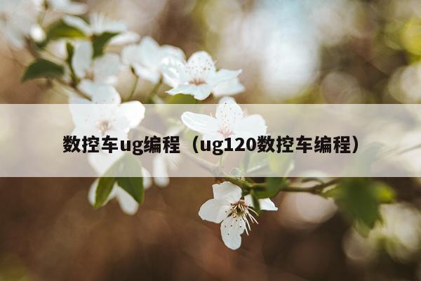 数控车ug编程（ug120数控车编程）